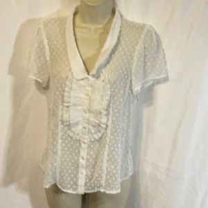 Nanette Lenore Flocked Sheer Blouse